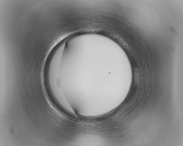 X0000115350726200912011051