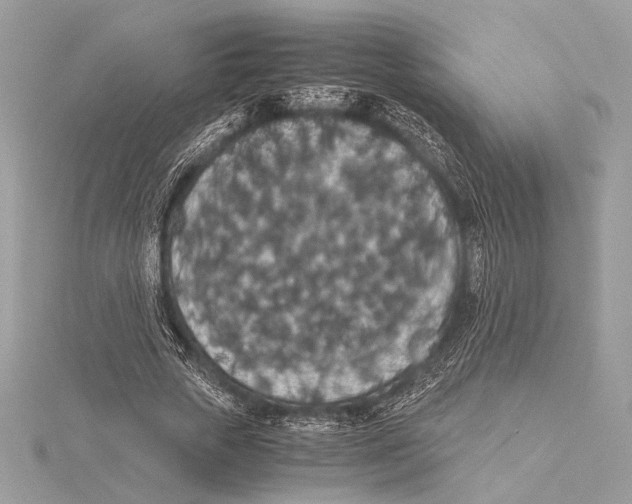 X0000115350729200912011051