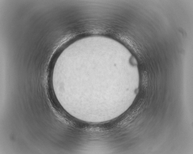 X0000115350730200912011051