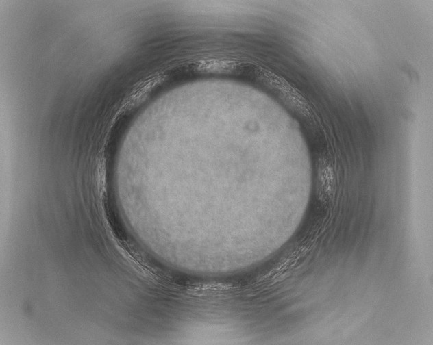 X0000115350734200912011051