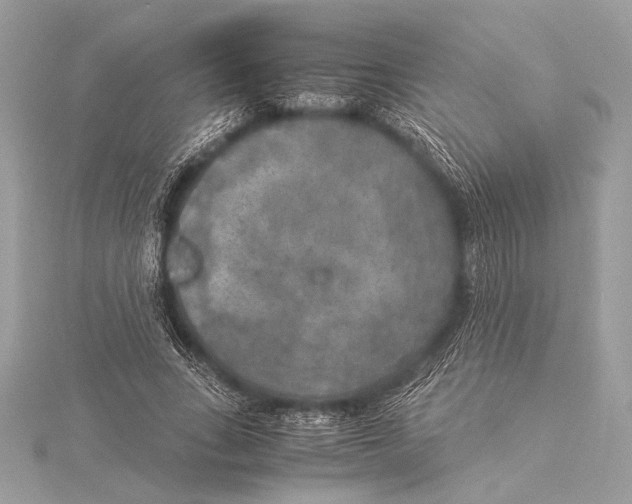 X0000115350735200912011051