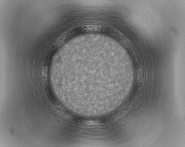 X0000115350737200912011051