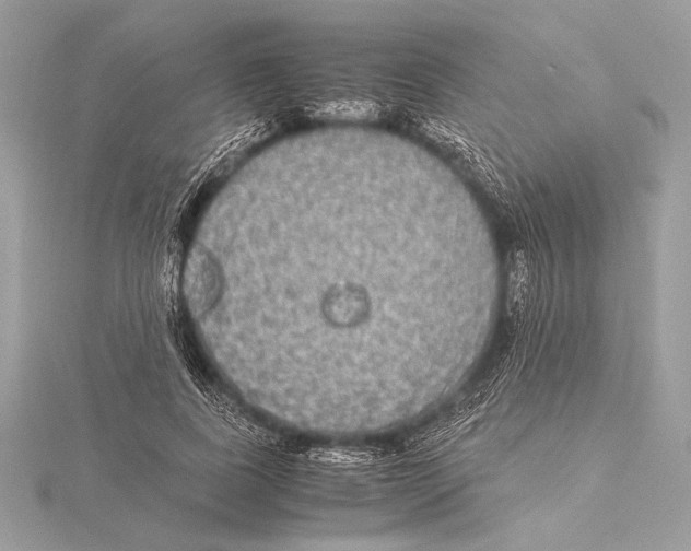 X0000115350739200912011051