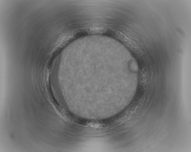 X0000115350742200912011051