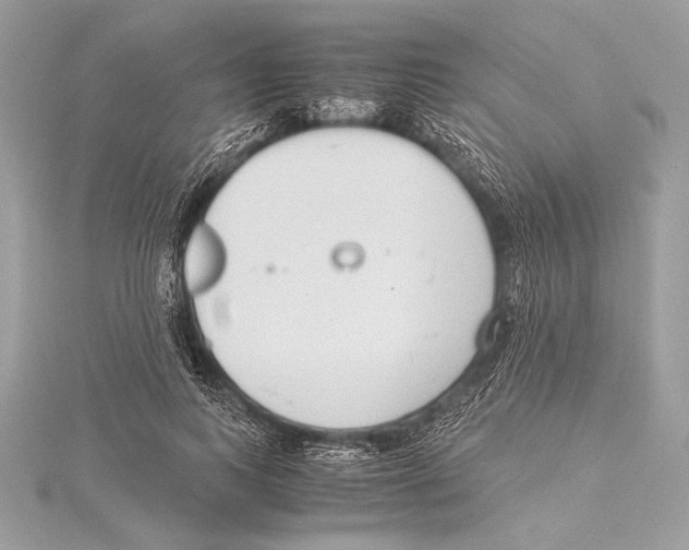 X0000115350743200912011051