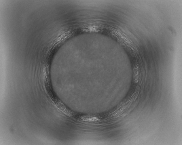 X0000115350747200912011051