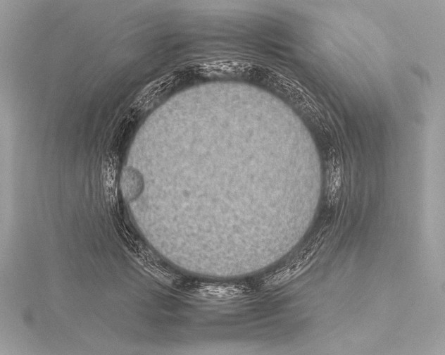 X0000115350749200912011051