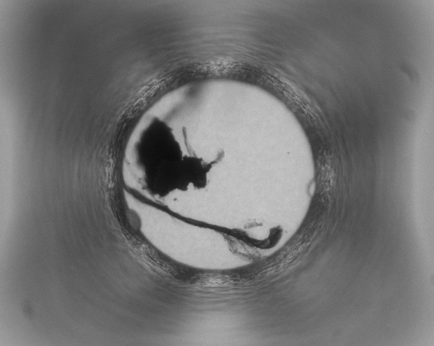 X0000115350750200912011051