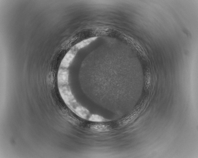 X0000115350759200912011051