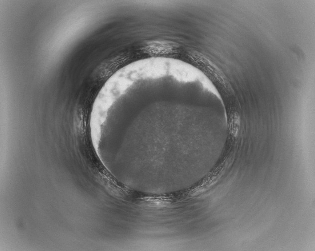 X0000115350763200912011052