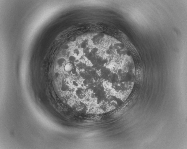 X0000115350765200912011052