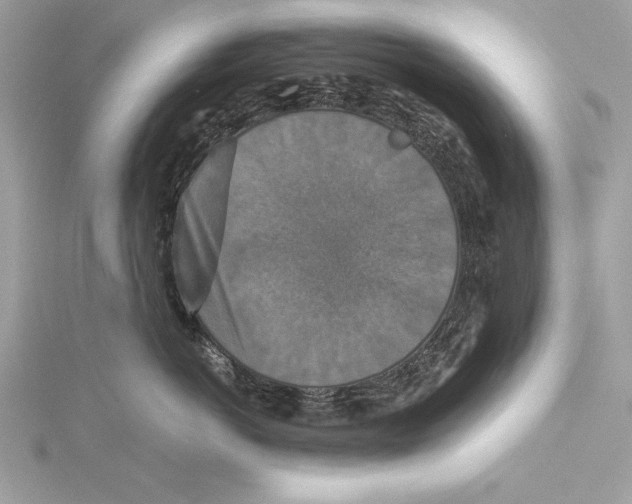 X0000115350766200912011052