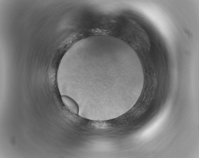 X0000115350767200912011052