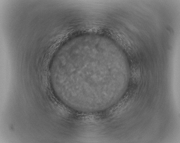 X0000115350769200912011051