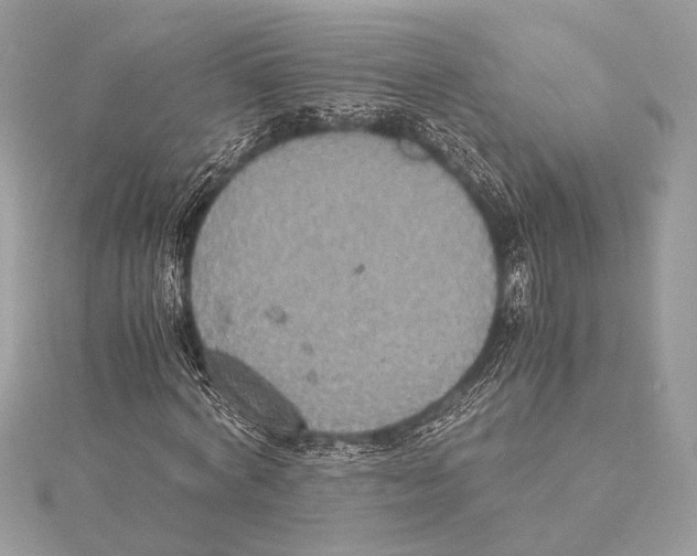 X0000115350772200912011051