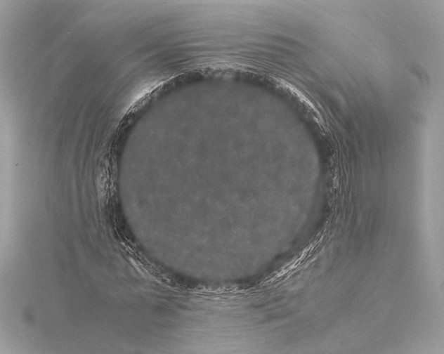 X0000115350775200912011051