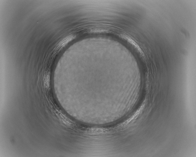 X0000115350777200912011051