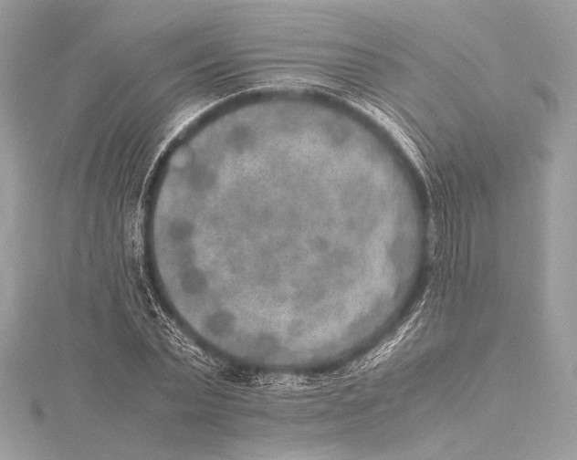 X0000115350783200912011051