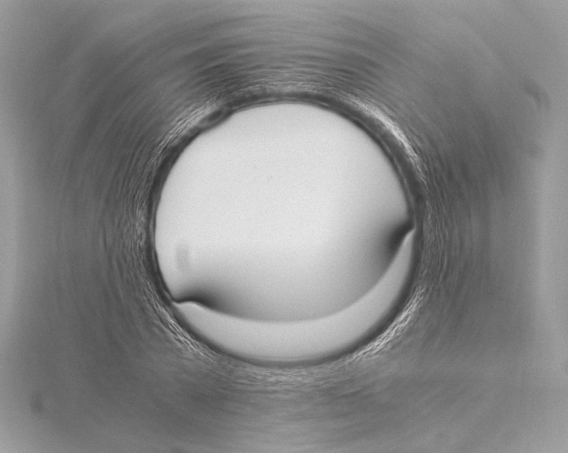 X0000115350785200912011051