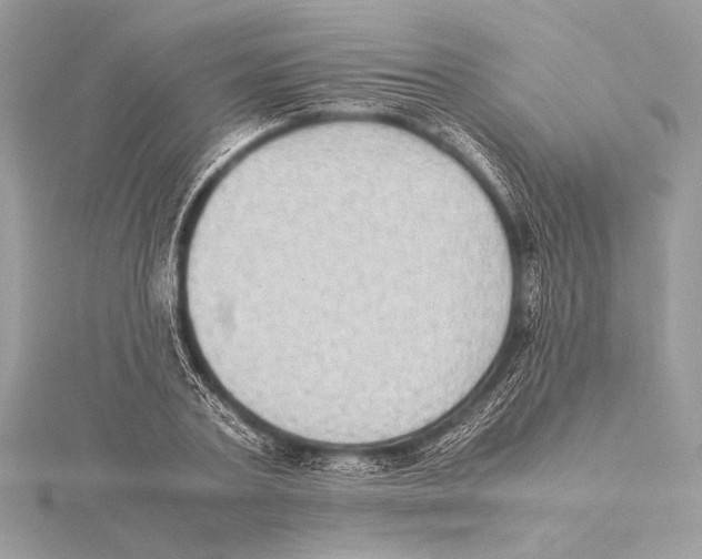 X0000115350787200912011051