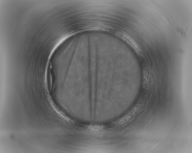 X0000115350788200912011051