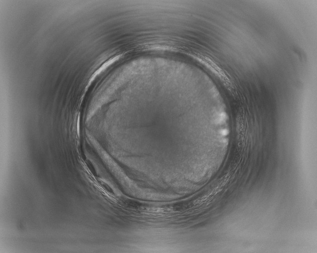 X0000115350790200912011051