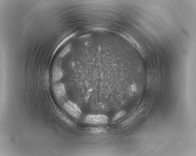 X0000115350798200912011051