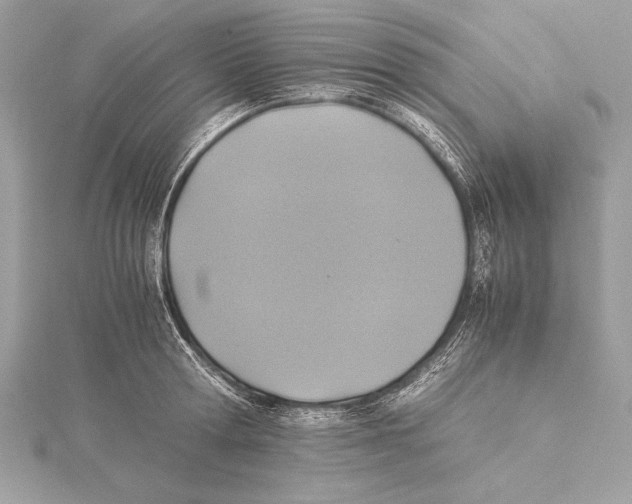 X0000115350802200912011051