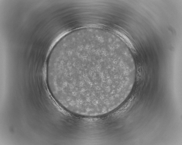 X0000115350804200912011051