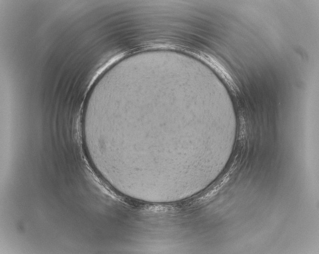 X0000115350806200912011051