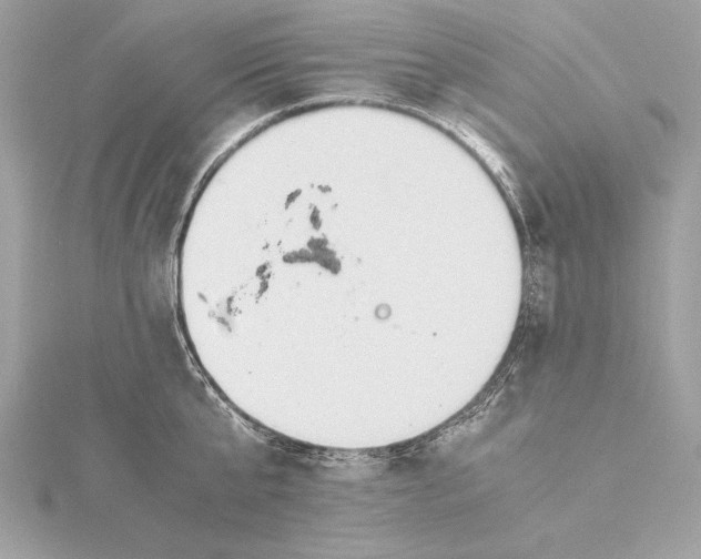 X0000115350807200912011051