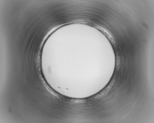 X0000115350808200912011050