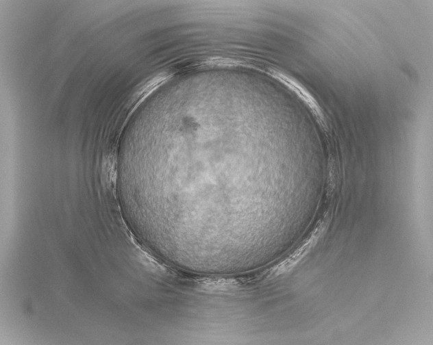 X0000115350809200912011050