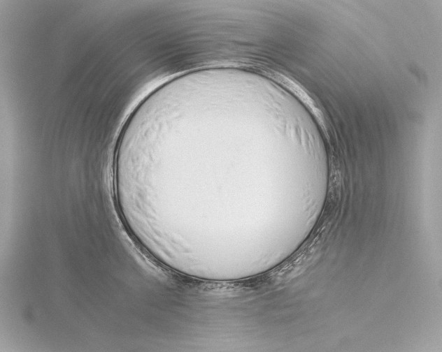 X0000115350811200912011050