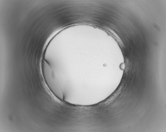 X0000115350812200912011050