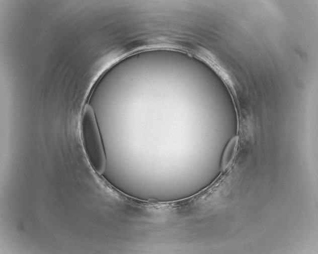 X0000115350813200912011050