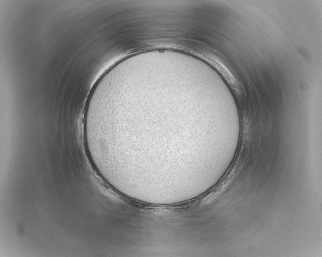 X0000115350814200912011050