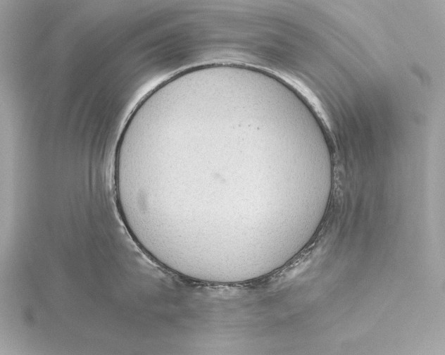 X0000115350815200912011050