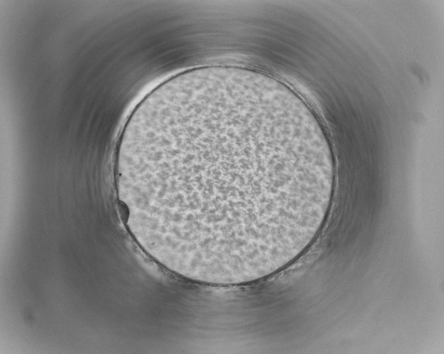 X0000115350816200912011050