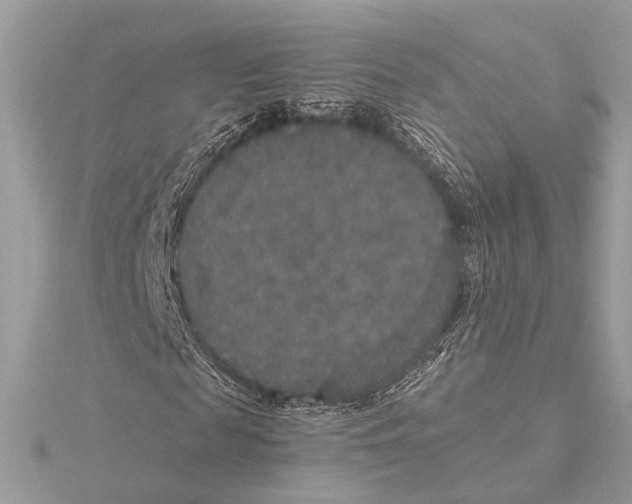 X0000115350817200912011050