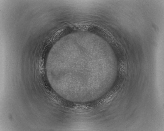 X0000115350818200912011050