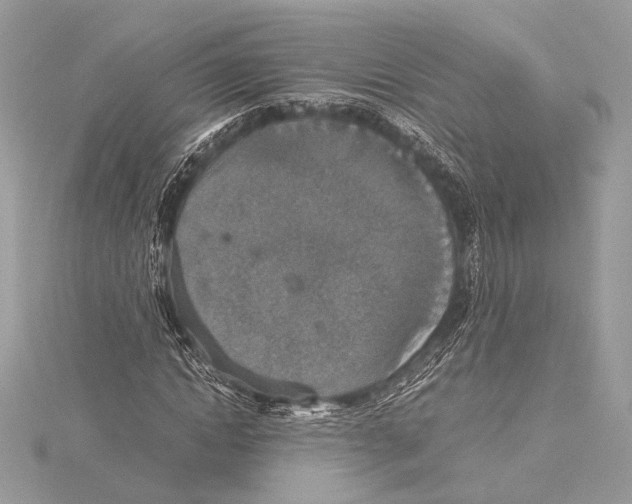 X0000115350822200912011050