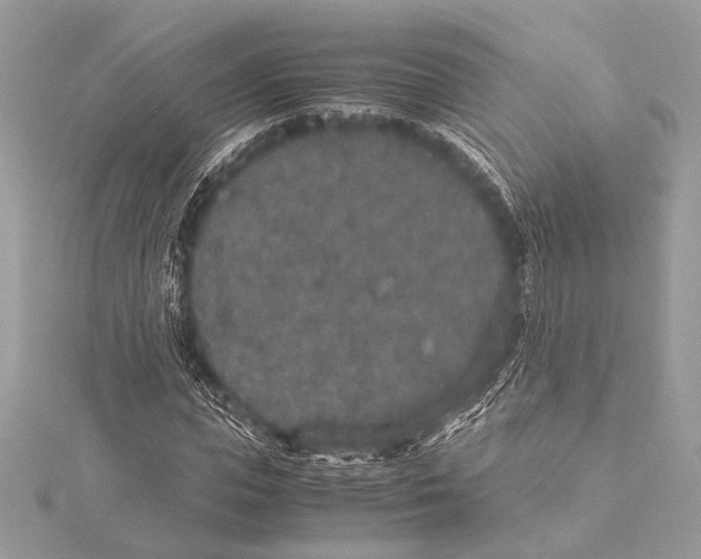 X0000115350823200912011050