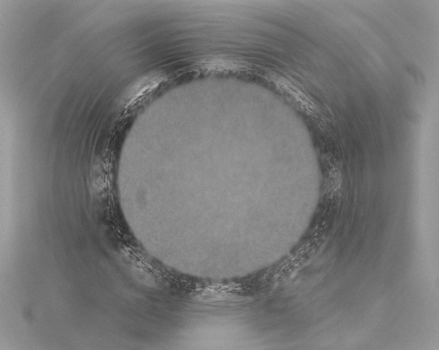 X0000115350824200912011050