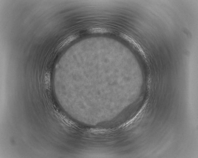 X0000115350825200912011050