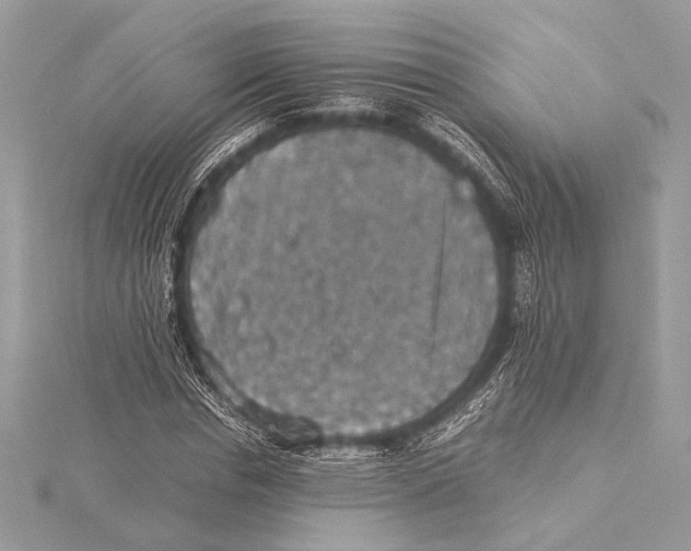 X0000115350826200912011050