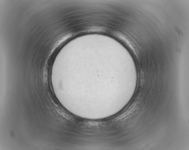 X0000115350827200912011050