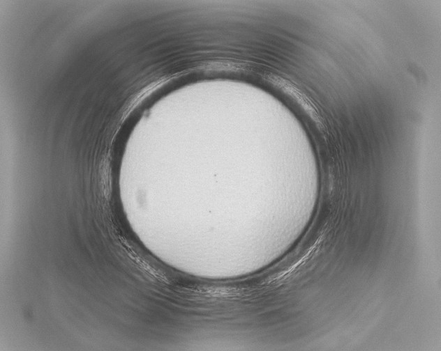 X0000115350829200912011050