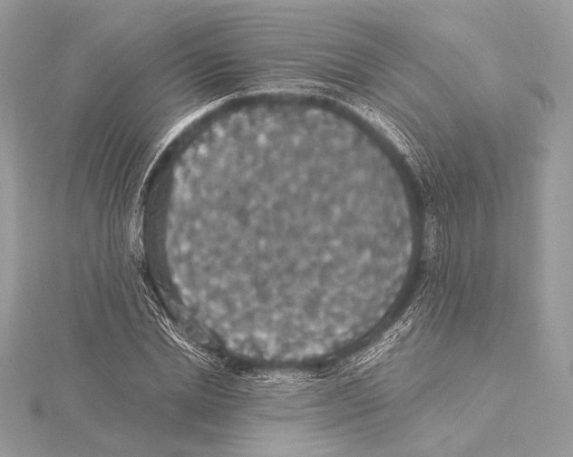 X0000115350830200912011050