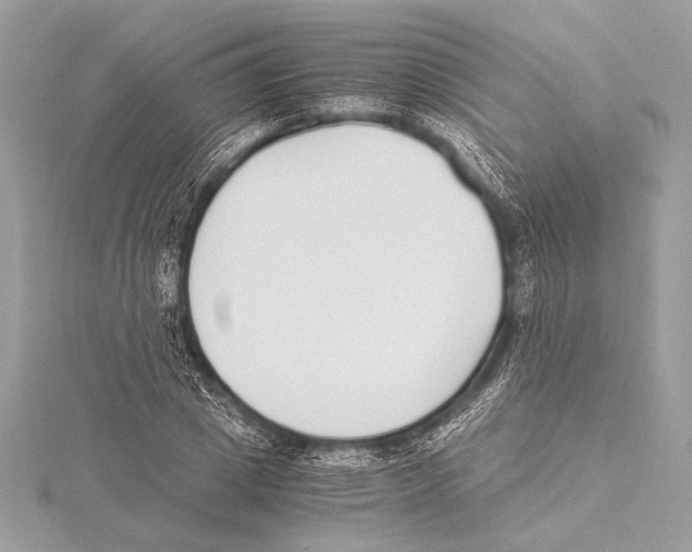 X0000115350833200912011050